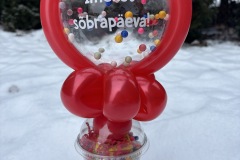 25-02-11-13-48-02-4947