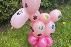 25-05-24-14-07-03-8963