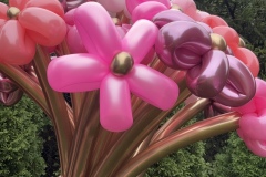 1_25-09-14-09-18-13-2381