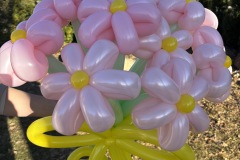 25-03-22-08-46-25-6397