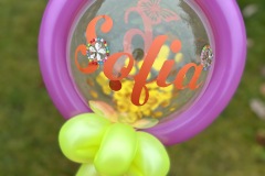 24-11-09-13-02-30-2910