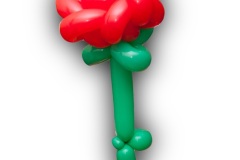 2hupallid001_juuni-13-2012_done