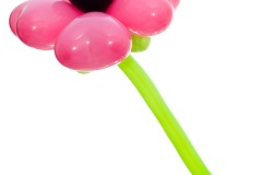 august-25-2011untitledlill