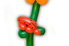 pallid004veebruar-08-2012