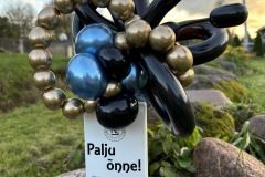 1_24-10-05-17-53-31-1869